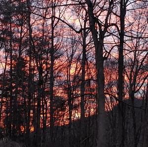 Meet your Posher, Coletta